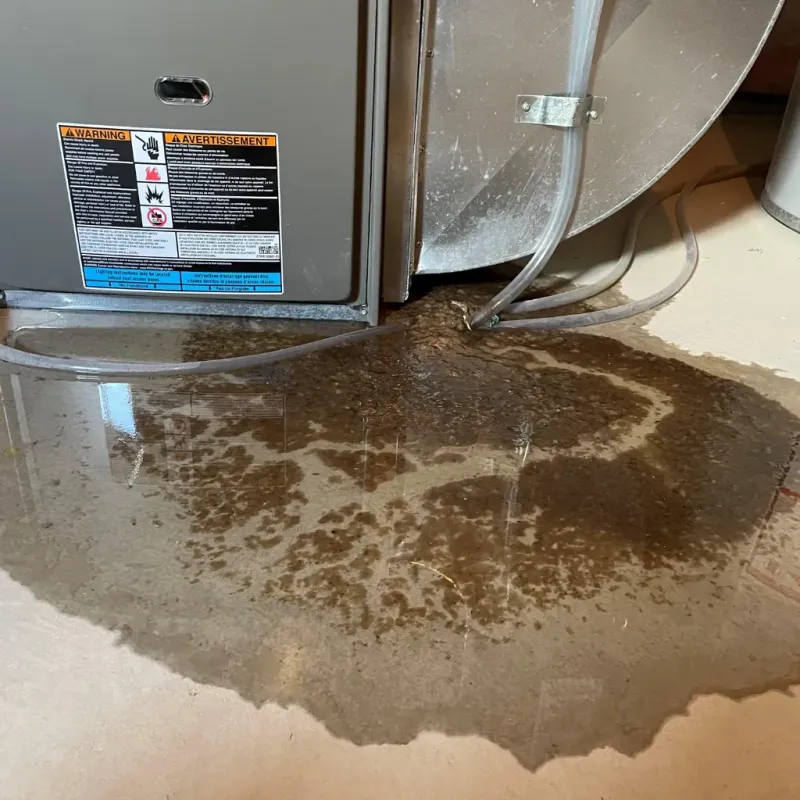 Appliance Leak Cleanup in Pacific, WA